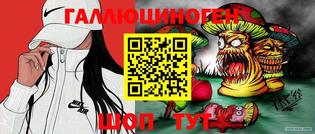 Минусинск  Галлюциногенные грибы прущие грибы  Вход с VPN 